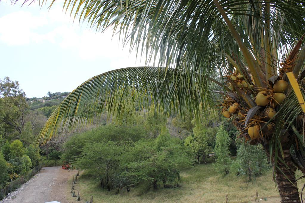 Villa Le Chapo Port Mathurin Habitación foto